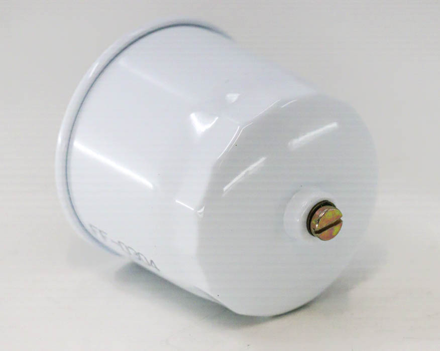 Fil Filter FF-0304 Kraftstofffilter-Set