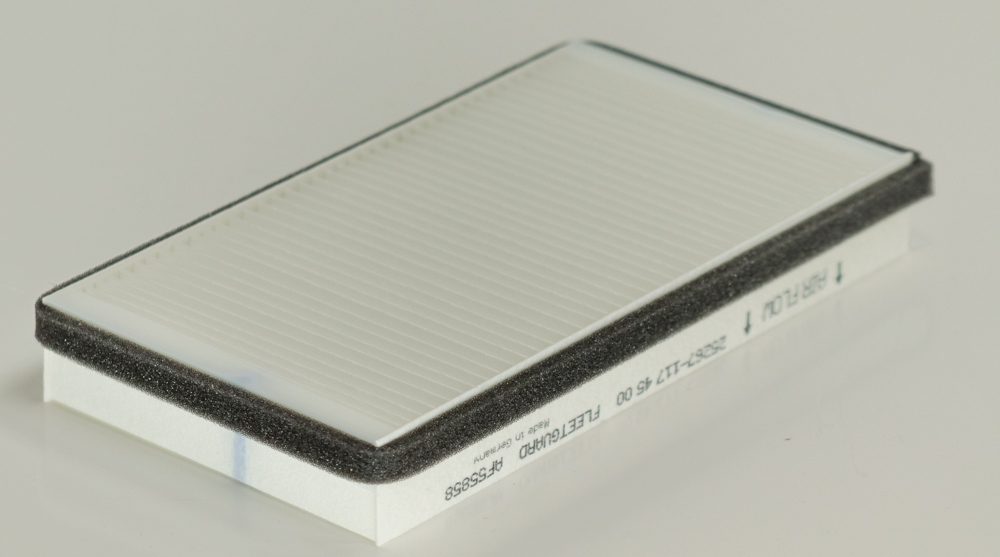 FLEETGUARD AF55858 Luftfilterelement