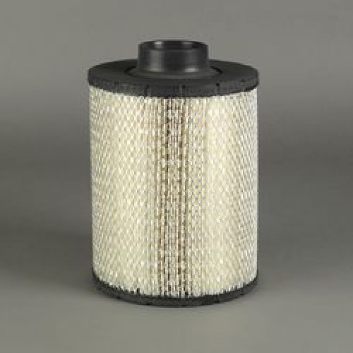 DONALDSON Luftfilter B085048 (DuraLite ECB)