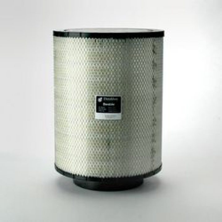 DONALDSON Luftfilter B120376 (DuraLite ECB)