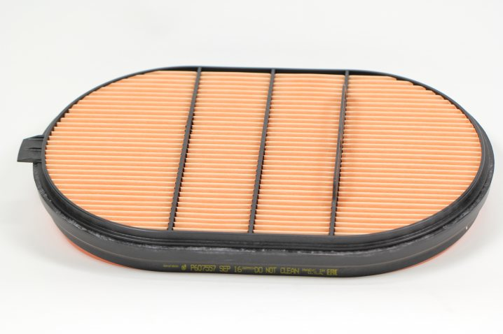 DONALDSON P607557 Luftfilterelement (Sekundärelement)